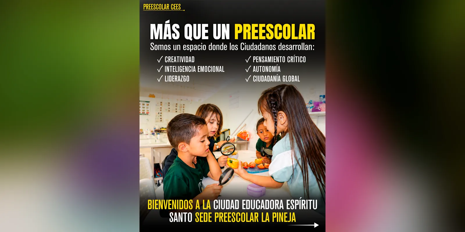 Galería - 1