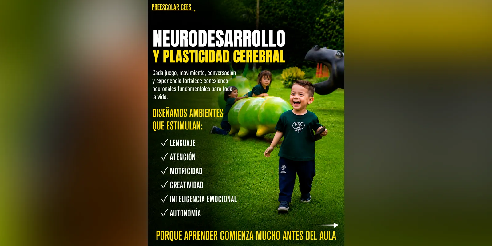 Galería - 8