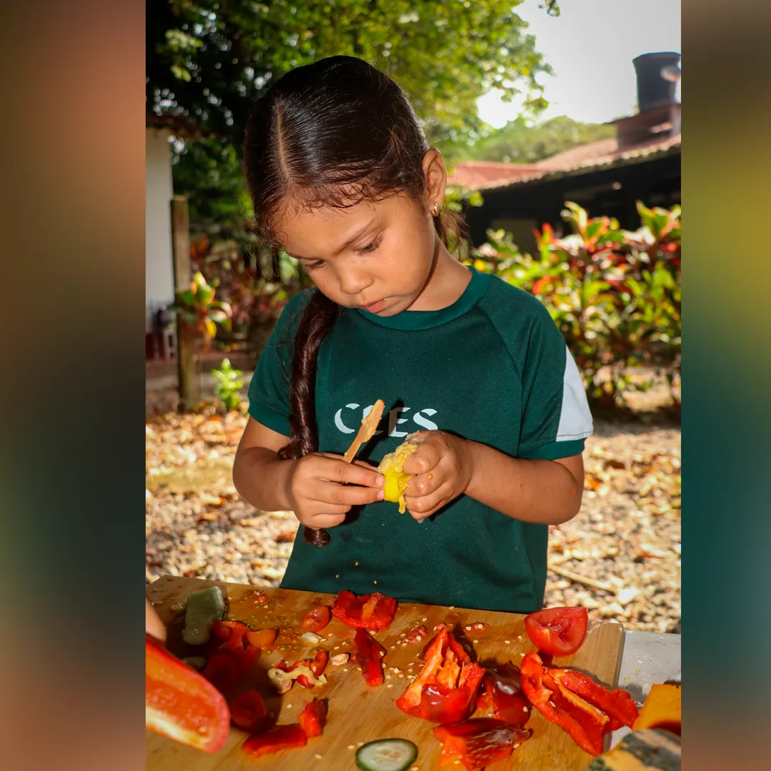 Exploración de semillas y huerta escolar en el Preescolar Ciudad Educadora Espíritu Santo de Villavicencio