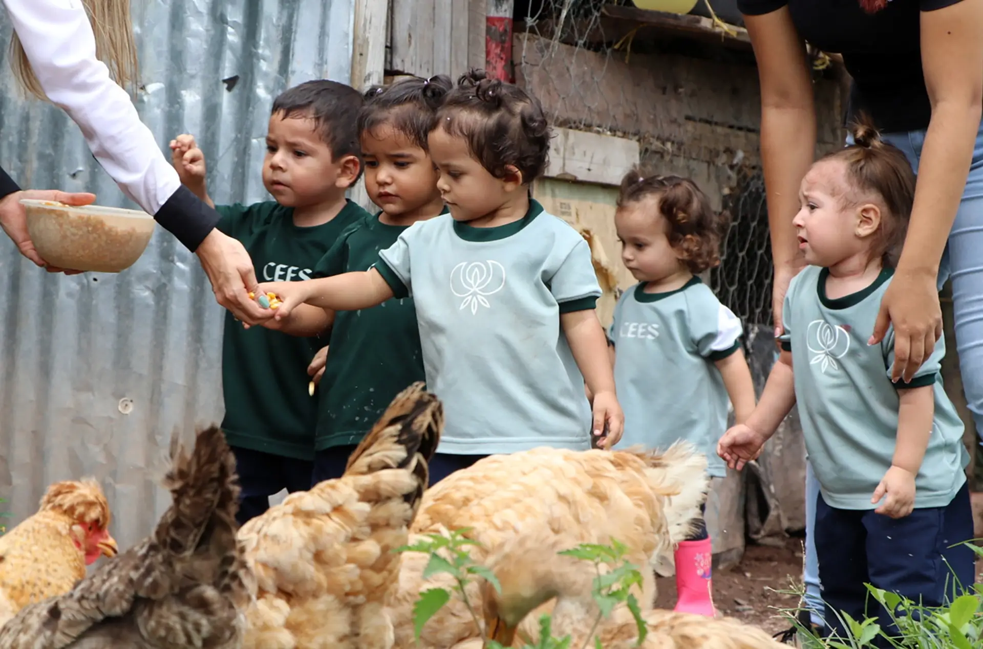 Preescolar Ciudad Educadora Espíritu Santo (Villavicencio) - instalaciones - 4