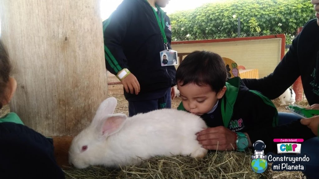 Construyendo Mi Planeta Jardín Infantil (Bogotá) - instalaciones - 18