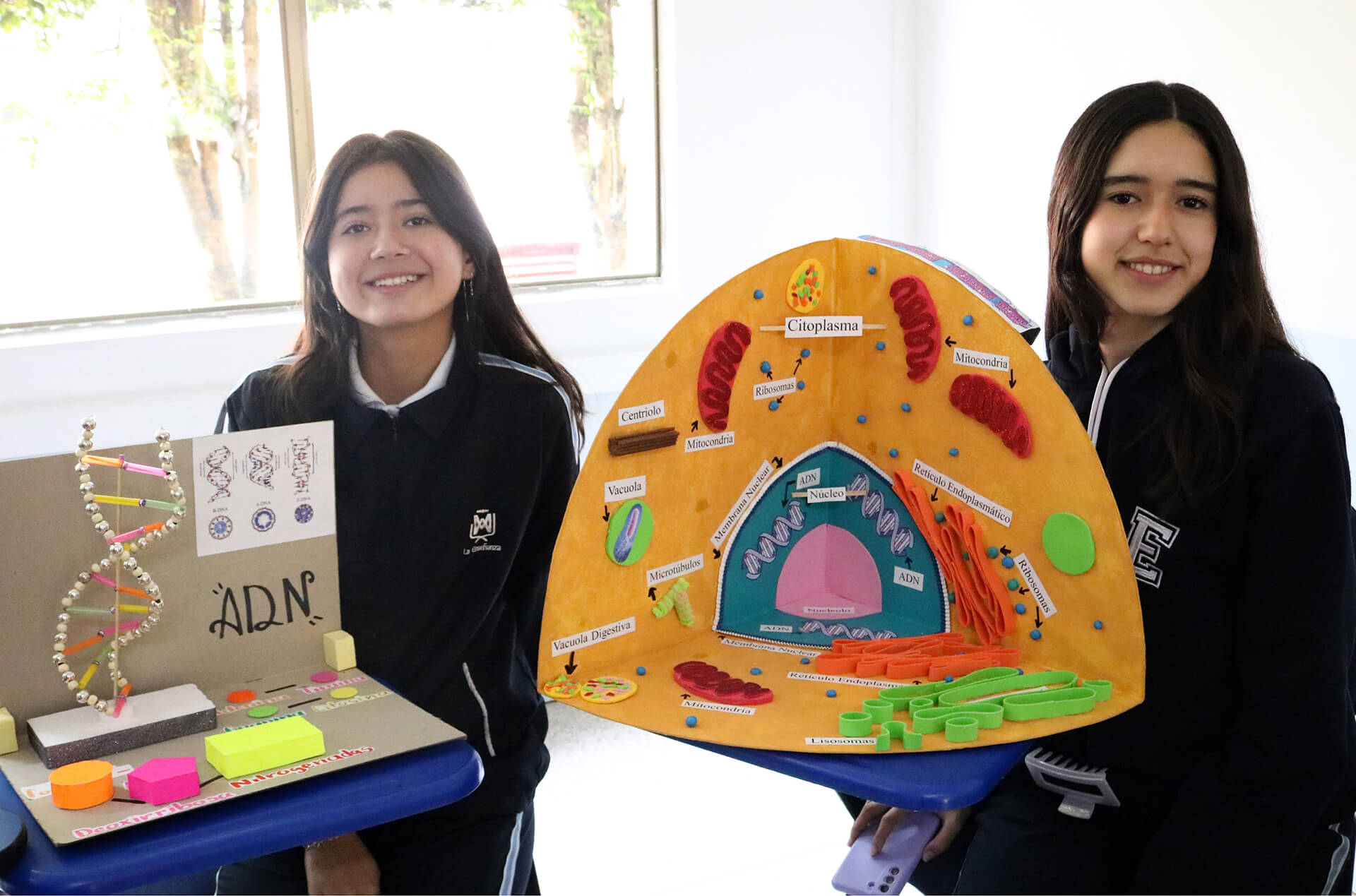 Preescolar Bilingüe La Enseñanza  (Bogotá) - instalaciones - 5