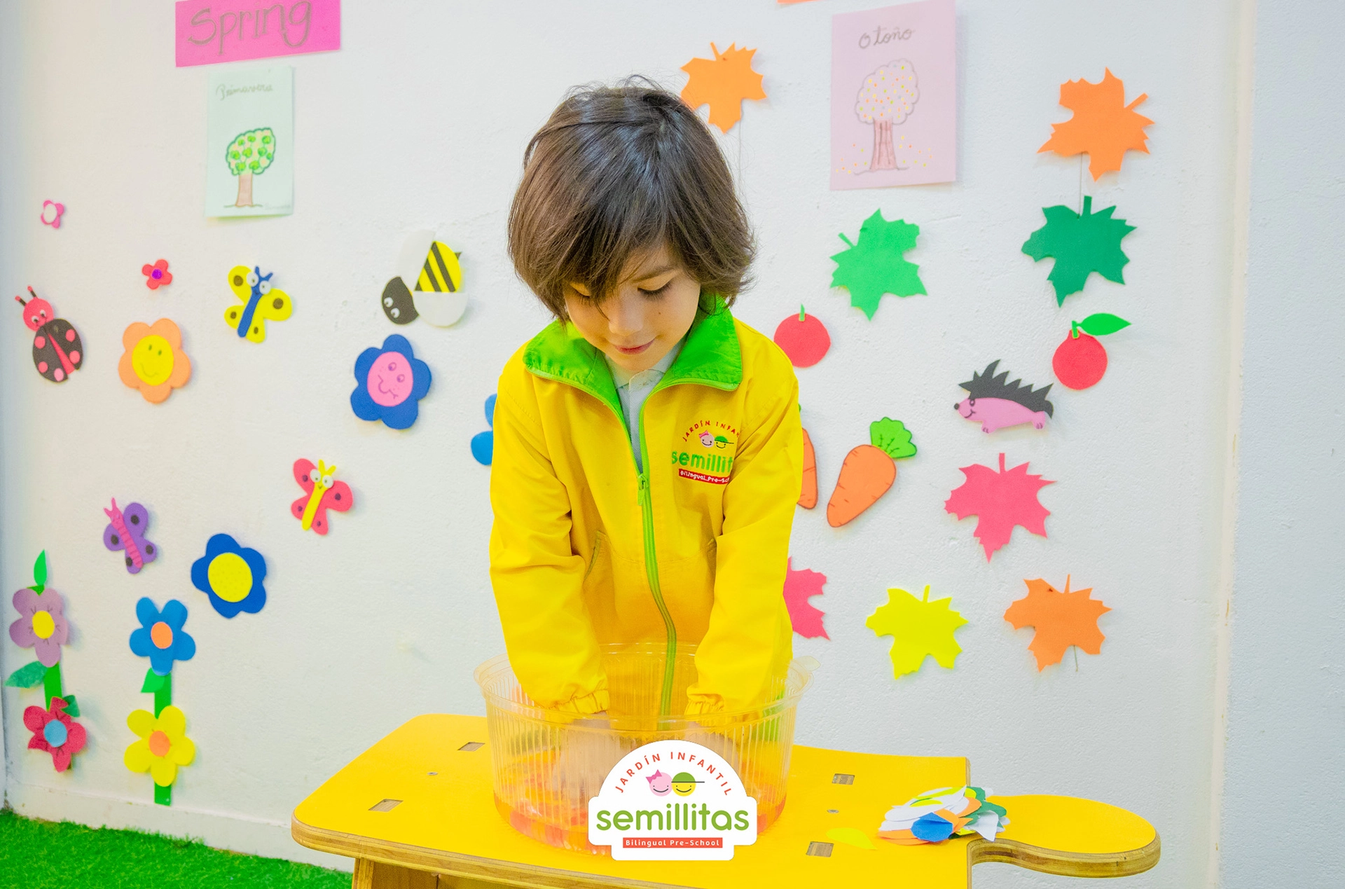 Semillitas Bilingüe Jardín Infantil (Bogotá) - instalaciones - 12