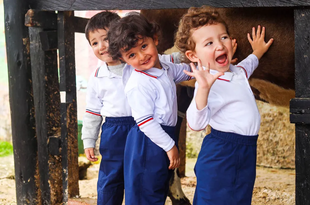 Stanford Jardín Infantil (Bogotá) - instalaciones - 10