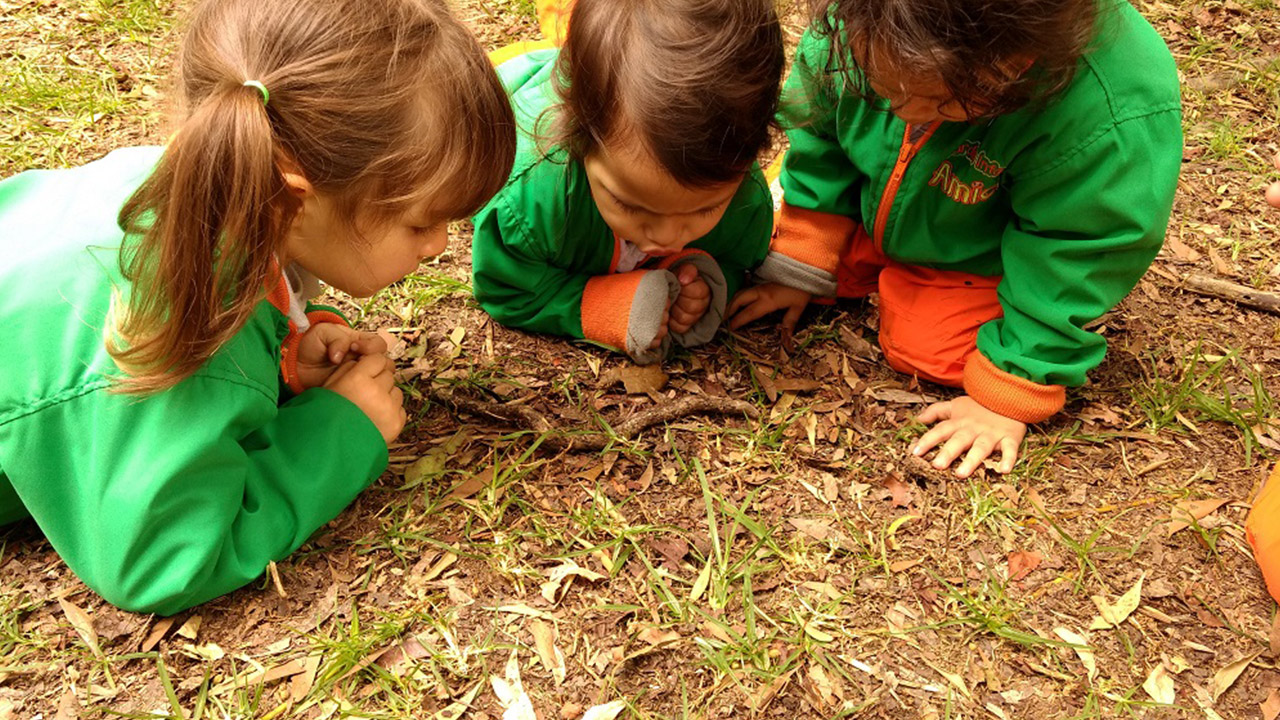 Amici Jardín Infantil (Bogotá) - instalaciones - 9